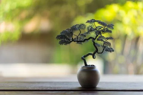 Tree bending from the wire in a pot decorated in the garden. Stock Photos