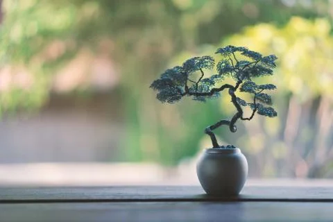 Tree bending from the wire in a pot decorated in the garden. Stock Photos