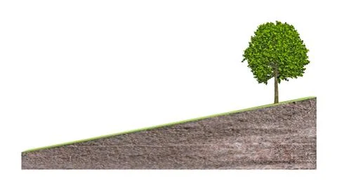 Tree on bias ground sectional Stock Illustration