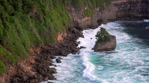 Tree on big stone in ocean. Coast at Uluwatu temple, Bali, Indonesia Stock Footage 83636730