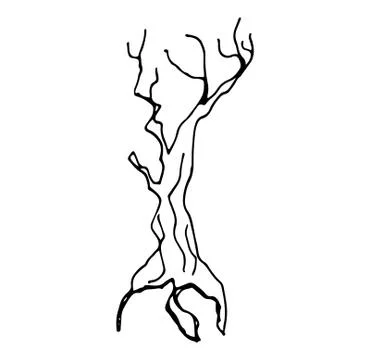 Tree black line Stock Illustration