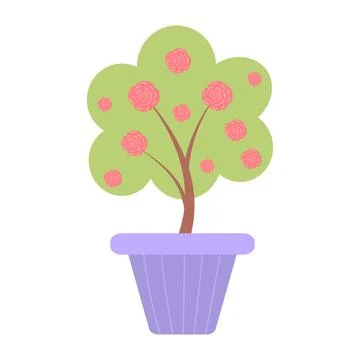 Tree with blooming roses in a pot. Vector illustration isolated Stock Illustration