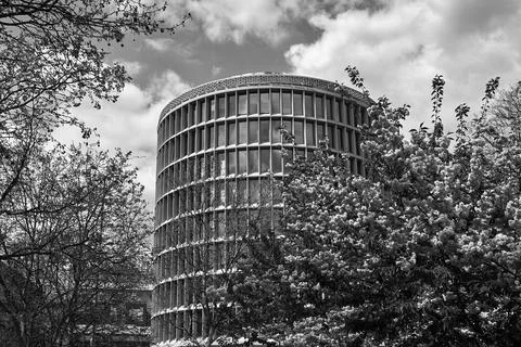 A tree blooming in spring and the facade of a modernist office building Stock Photos