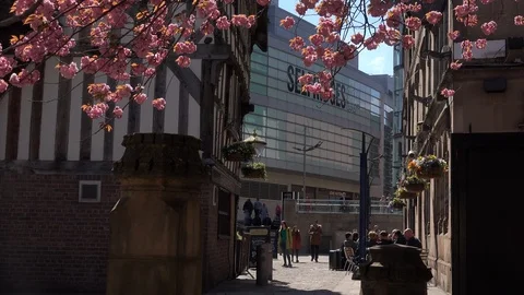 Tree blossom Manchester city centre architecture UK England 4K Stock Footage 106979237