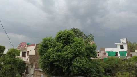 Tree Blowing In the Wind With Dark Storm Monsoon Clouds In the Background 4k Stock Footage 200994368