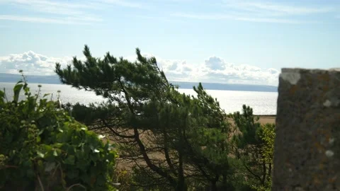Tree Blowing In Wind At The Top Of Abandoned Tower 4K 스톡 동영상 212080577
