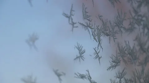 Tree Blowing in the Wind to Winter Ice on Window Stock Footage