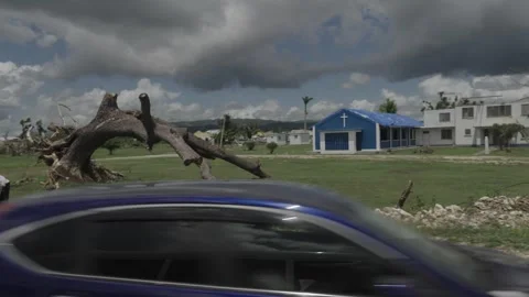 A tree blown over during hurricane Melissa Stock Footage 340820648