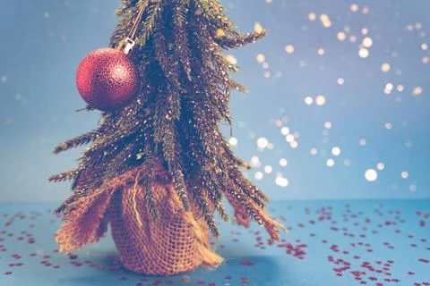 Tree on blue background toned in warm Stock Photos