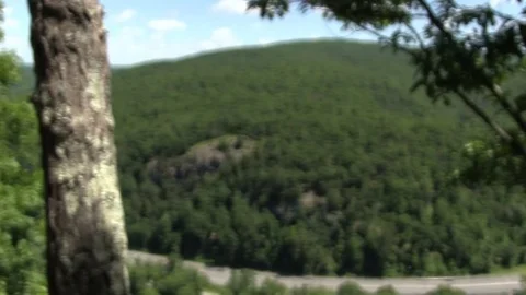 Tree Blur Stock Footage 77079530