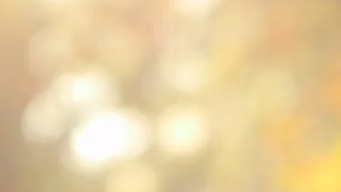 Tree in blurry effect summer video Video stock 154554441