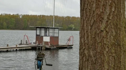 Tree with a boat at the pier in background at lake Stock Footage 75072787