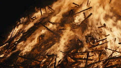 Tree Bonfire Closeup Stock Footage 100939131