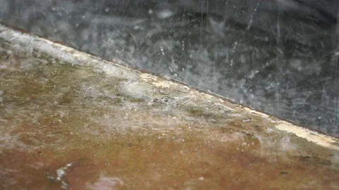 Tree branch and leaf in the rain at thailand Stock Footage 231557086