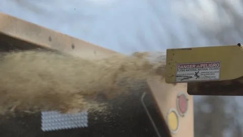 Tree Branch in Chopper Cutter Grinder (slo-mo) Stock Footage 172218726