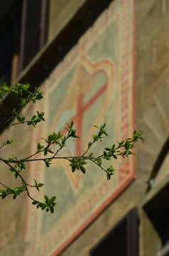 A tree branch covered in spring growth in front of a plaque on an old building Stock Photos