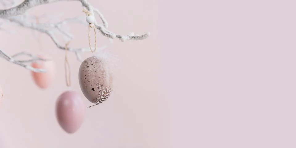 Tree branch decorated with Easter eggs on pastel pink background Stock Photos