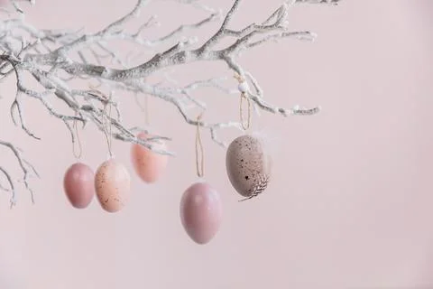 Tree branch decorated with Easter eggs on pastel pink background Stock Photos