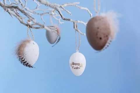Tree branch decorated with Easter eggs on pastel blue background Stock Photos