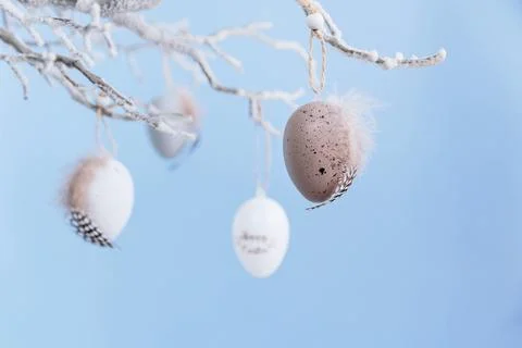 Tree branch decorated with Easter eggs on pastel blue background Foto stock