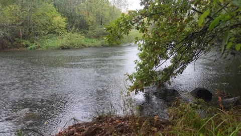 Tree Branch Dipping Into Dark Flowing River Water In Rainy Weather Stock Footage 347975666