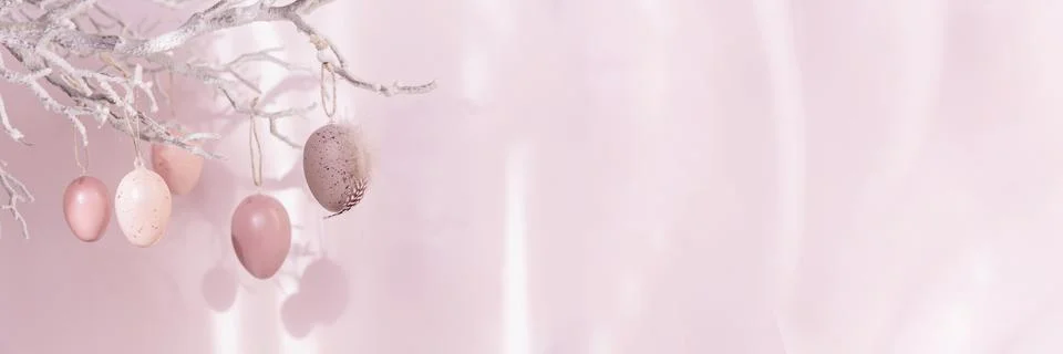 Tree branch with Easter eggs on pink background with sunlight and shadows Stock Photos