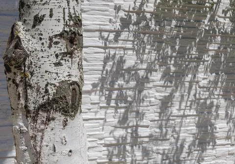 Tree branch fence Stock Photos