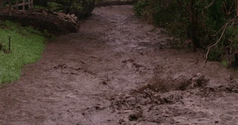 Tree Branch Floating In Floodwater Stock Footage 79429470