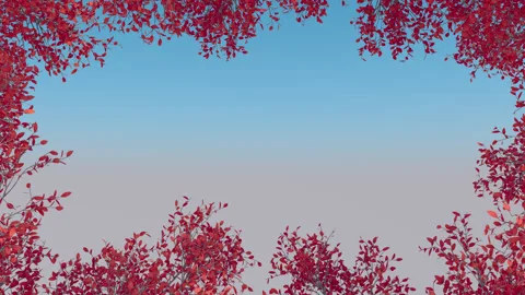 Tree Branch Frame Stock Footage 248605731