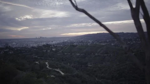 Tree Branch Framing Los Angeles Overlook With Focus Shift Stock Footage 333223237