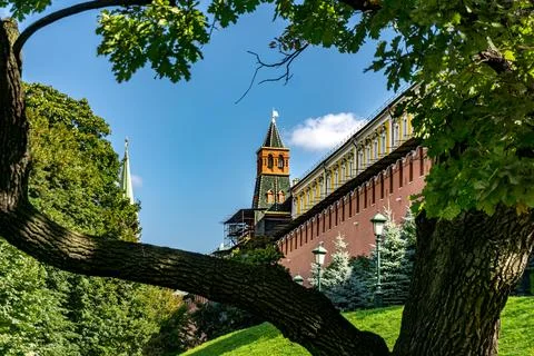 A tree branch is in front of a building of Kremlin in Moscow Russia Stock Photos