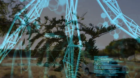 Tree branch glowing under warm sunlight showing floating 3D AR wireframe, Stock Footage 307859253