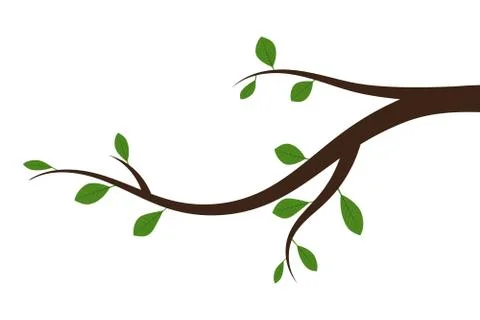 Tree branch with green leaves. Vector illustration. Stock Illustration