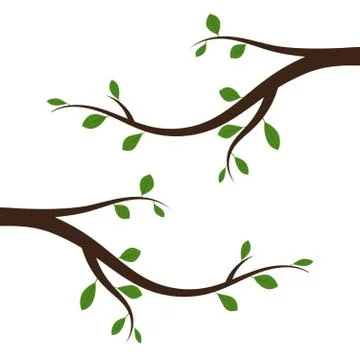 Tree branch with green leaves. Vector illustration. Stock Illustration