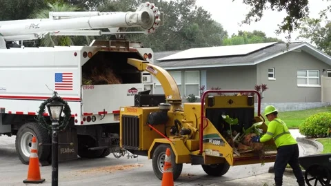 Tree Branch Grinder - Worker Putting Branches into Grinder Stock Footage 168966970