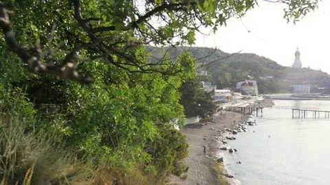 A tree branch hangs over the water. beautiful natural landscape Stock-Footage 148974422