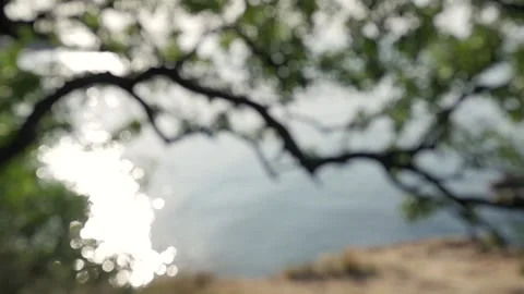 A tree branch hangs over the water. beautiful natural landscape. out of focus Stock-Footage 148974568