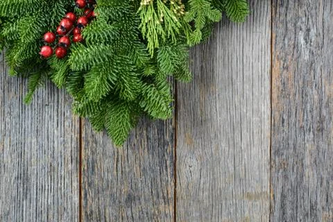 Tree branch with holly berry on rustic wooden background used for christmas d 스톡 사진
