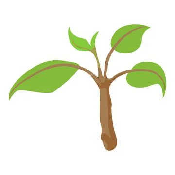 Tree branch icon isometric vector. Small tree branch with green leaf icon Illustrazione stock