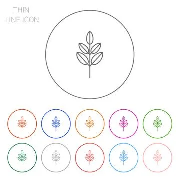 Tree branch Stock Illustration