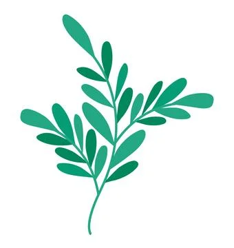 Tree branch illustration Ilustração Stock