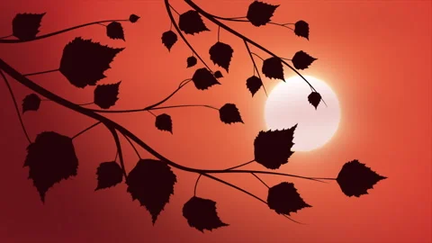 Tree branch with leaves on sunset background, animation 4K on a seamless loop Stock Footage 243520295
