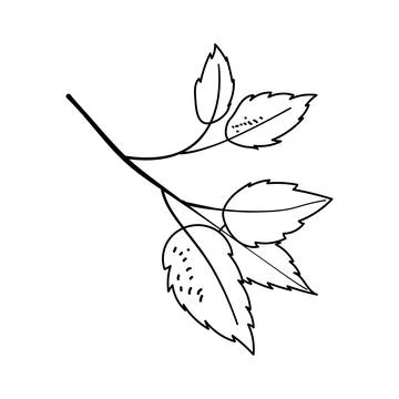 Tree branch with leaves vector hand drawn line art outline isolated on white Ilustración de archivo