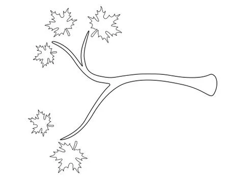 Tree branch with leaves - vector linear picture for coloring with editable Stock Illustration