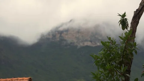 Tree branch with mountain in the background Video stock 128079697