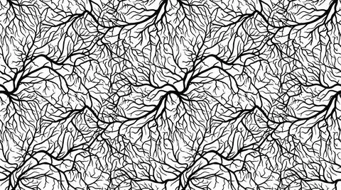 Tree branch network pattern seamless black and white vector abstract nature.. イラスト素材