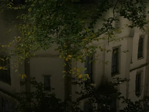 Tree branch over pond with castle reflecting Видео 342339693