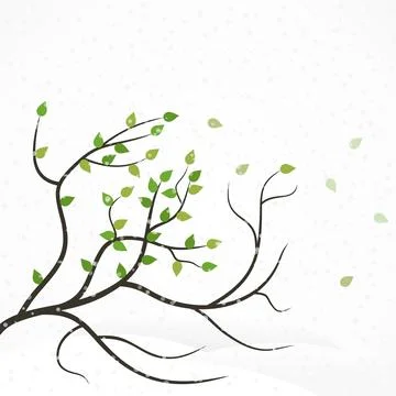 Tree branch 스톡 사진