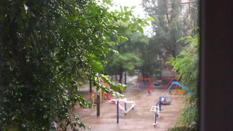 A tree branch in the rain shooting with a slow motion camera. Stock Footage 160917098