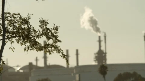 Tree branch with refinery in background Stock Footage 114638186